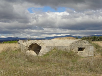 brunette-with-mountains